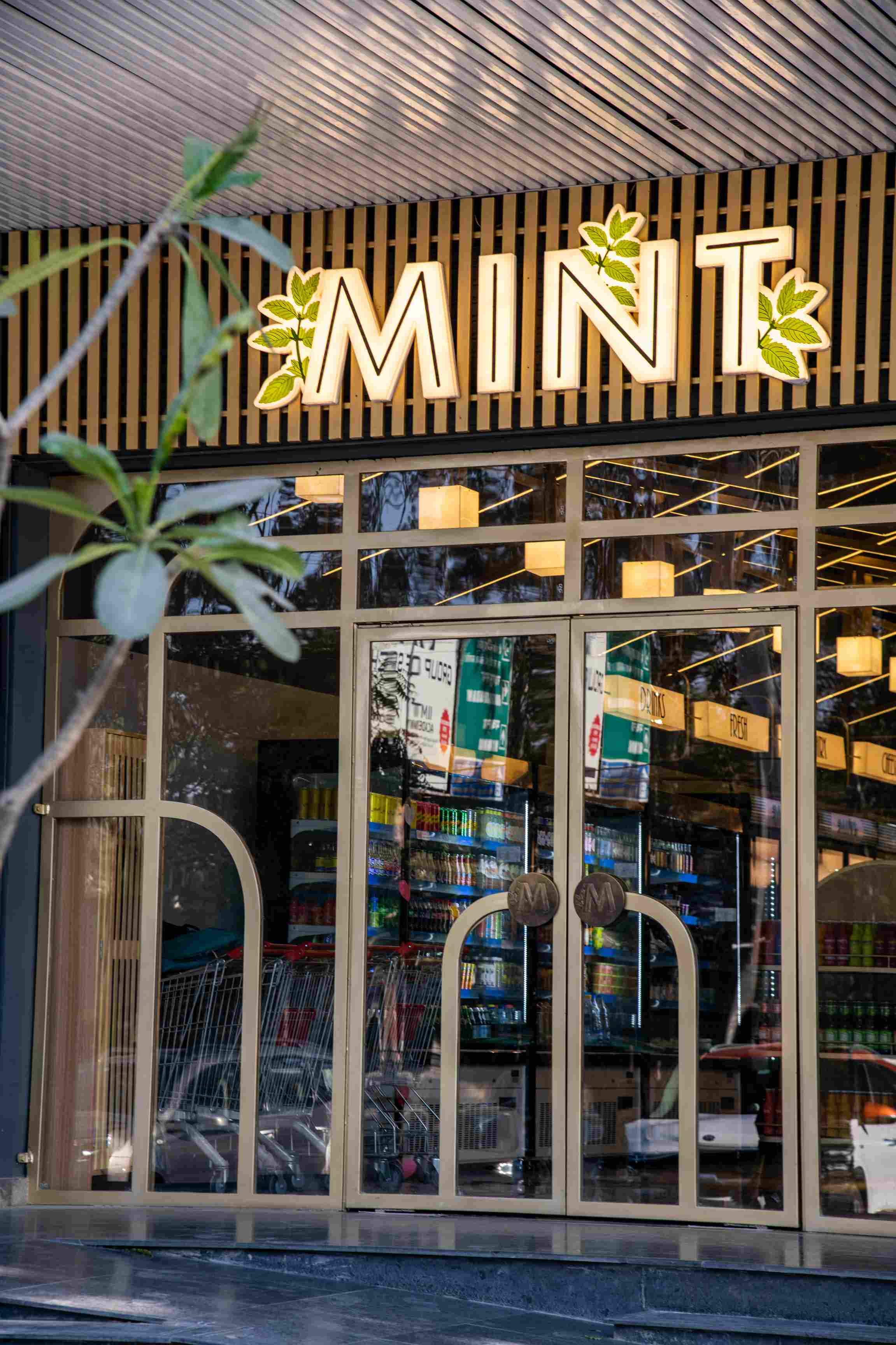 Mint