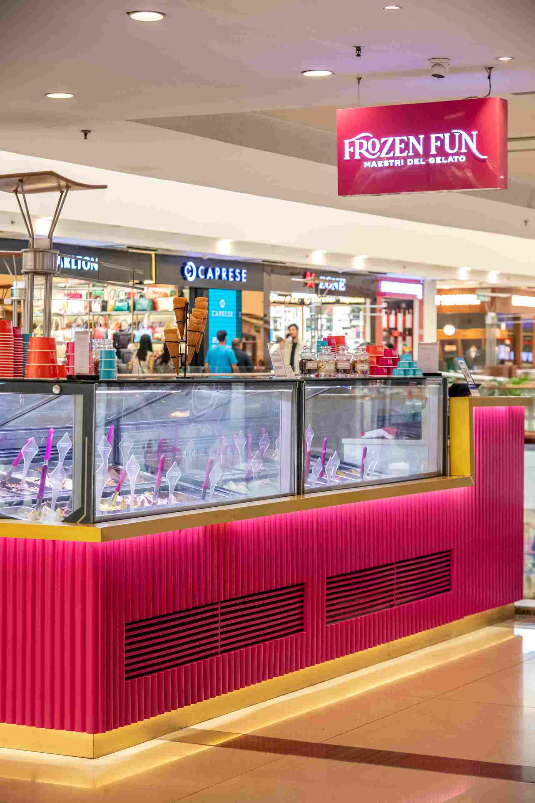 Frozen Fun Select City Walk